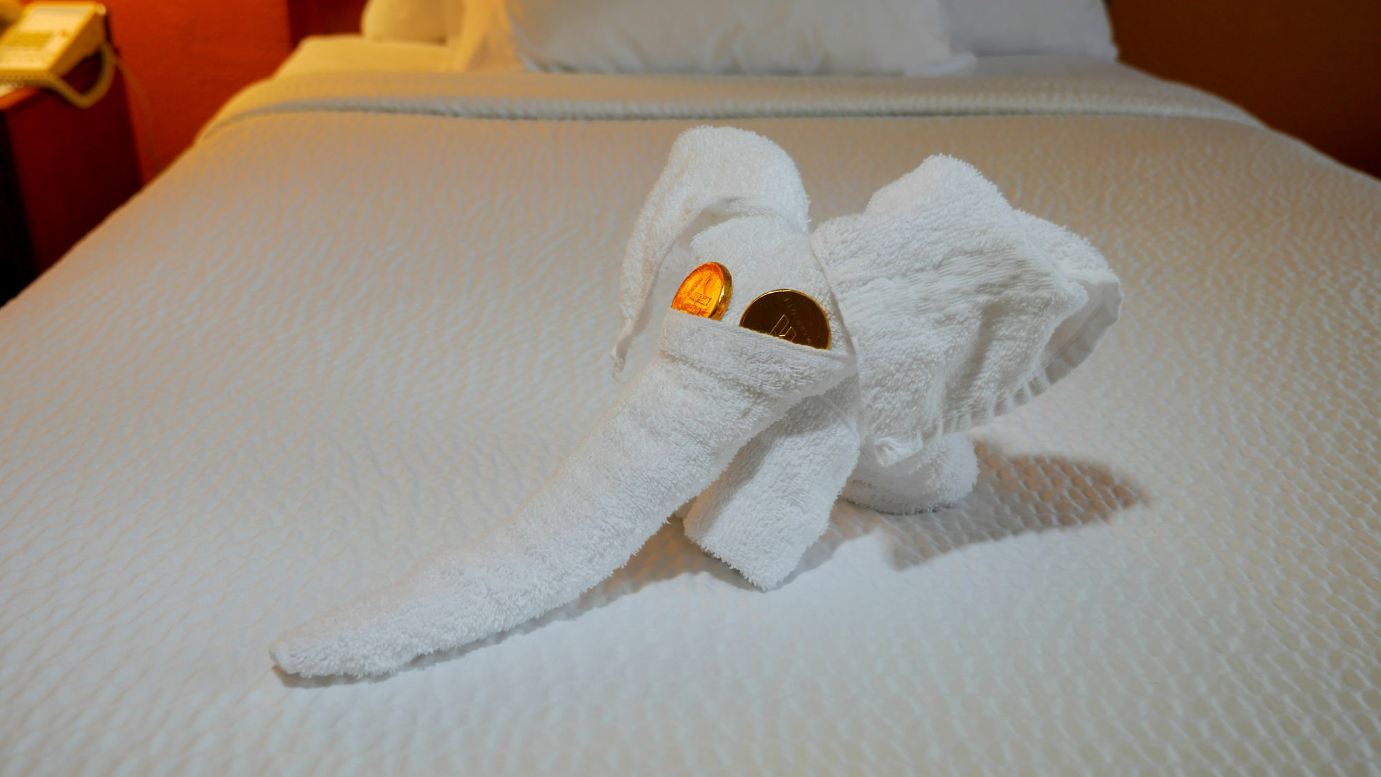 Quality Inn Fayetteville Near Fort Bragg Екстериор снимка